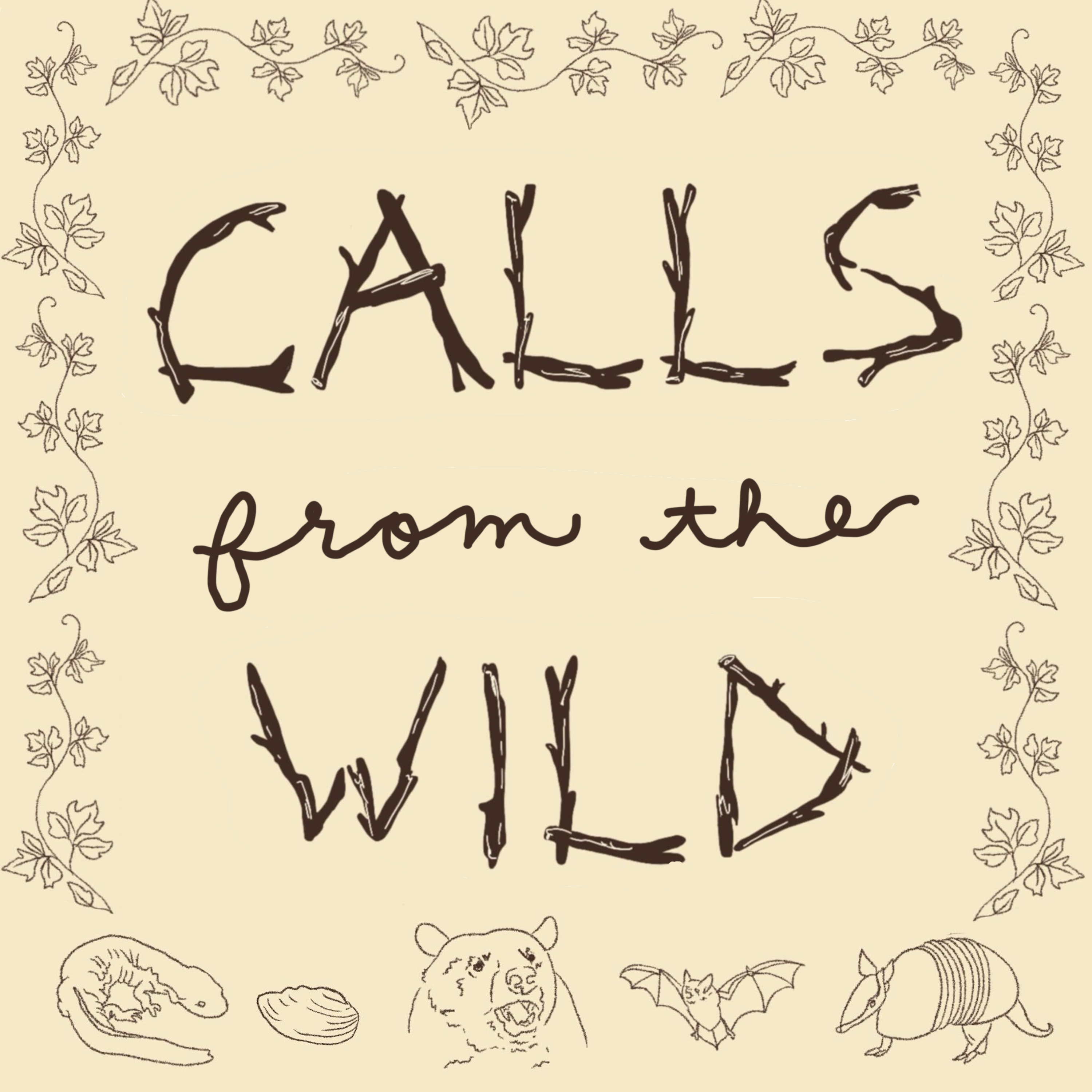 Calls from the Wild podcast artwork